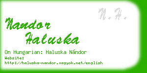nandor haluska business card